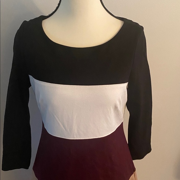 WHBM size 4 color blocked dress - Picture 2 of 8